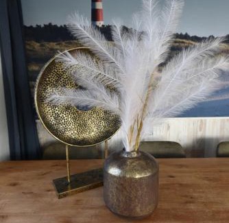 Municipality of Ameland Ski Chalet | Chalet Duinzicht G68 Ameland
