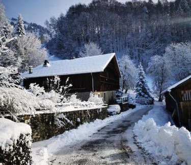 Samoens Ski Chalet | Chalet familial authentique avec jardin/cheminée