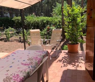 Castellaneta Ski Chalet | Chalet Felicita con giardino Immerso nel bosco