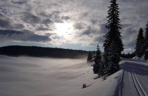 Chapelle-des-Bois House | Chalet for 8 people, with sauna and all comforts