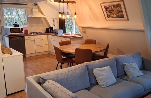 Bohon Ski Chalet | Chalet in durbuy in the middle of the forest