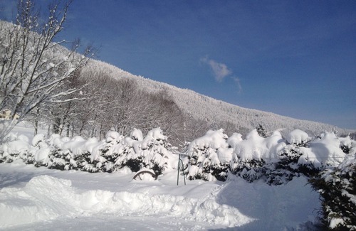 Le Menil Ski Chalet | Chalet in the Vosges