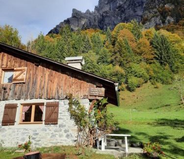 Sixt-Fer-a-Cheval Ski Chalet | Chalet la corne du chamois