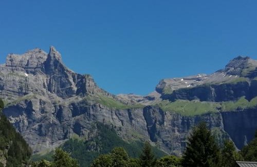 Sixt-Fer-a-Cheval Ski Chalet | Chalet la corne du chamois