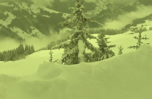 Cohennoz Ski Chalet | Chalet la Tulipe 150m2 of living space, 4 bedrooms 10/12 people