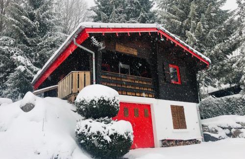 Le Menil Ski Chalet | Chalet Le Cactus avec sauna privatif