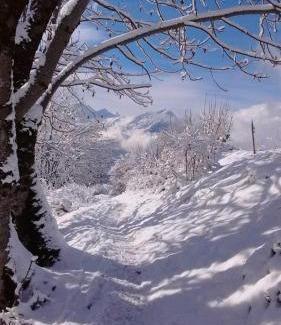 Vaujany Ski Chalet | Chalet Le Refuge
