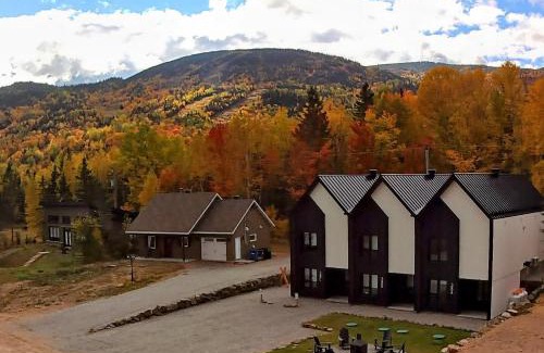L'Anse-Saint-Jean Ski Chalet | Chalet Les 3 Versants Mont-Edouard 38A
