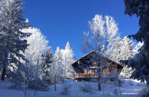 Montcel Ski Chalet | Chalet Les Airelles