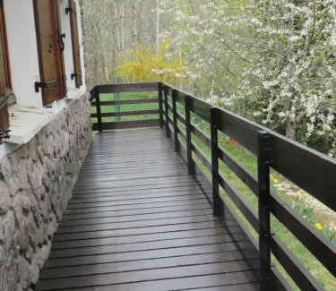 Saint-Jacques-des-Blats House | Chalet les Eglantines