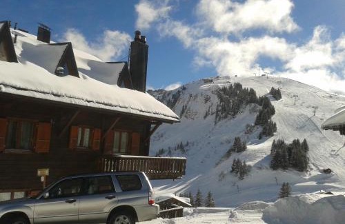 Val d'Illiez Apartment | Chalet Les Rhodos appartement le Yeti