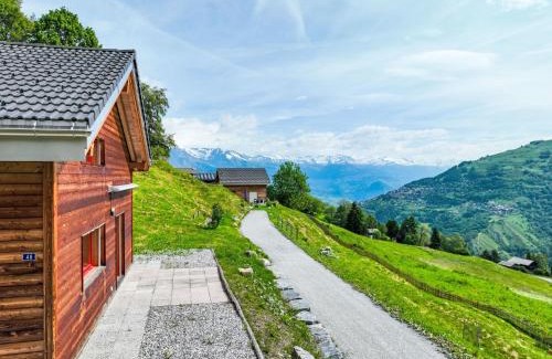 Nendaz Ski Chalet | Chalet Les Silènes by Interhome