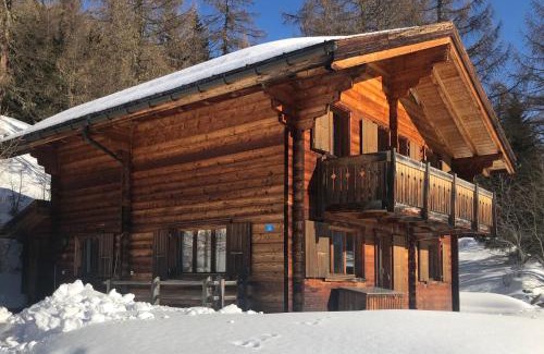 Bellwald Apartment | Chalet Luisa
