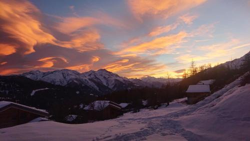 Bellwald Apartment | Chalet Luisa