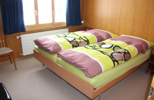 Adelboden Apartment | Chalet Mittaghorn