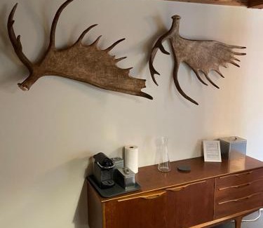Morzine Ski Chalet | Chalet Moose