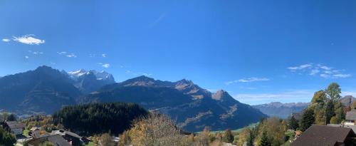 Hasliberg Wasserwendi Apartment | Chalet Orchis