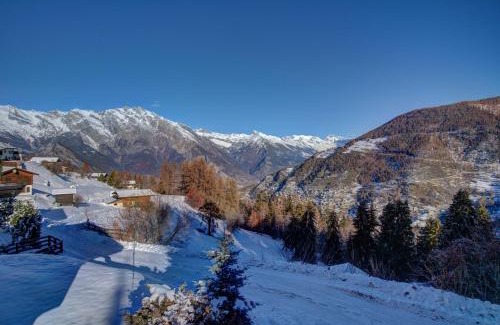 Riddes Ski Chalet | Chalet Orchidee