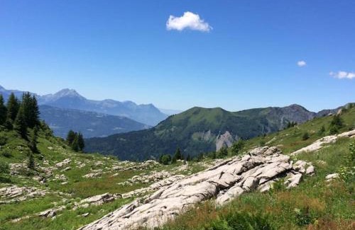Morillon Ski Chalet | Chalet Pomet