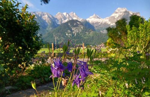 Lofer Apartment | Chalet Scheffsnoth