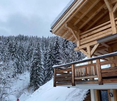 Le Grand-Bornand Ski Chalet | Chalet Soleya