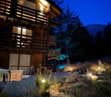Saas-Fee Apartment | Chalet Tannegg