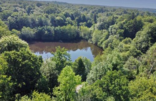 Chaumont House | Chalet tout confort en lisière de forêt avec cheminée, terrasse et accès direct à un étang de pêche - FR-1-497-213