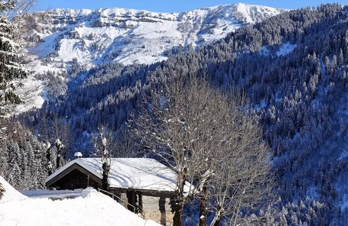 Beaufort Ski Chalet | Chalet - Treat yourself to a Christmas and a Magic Day in a Charming Chalet in Arêches, Alps