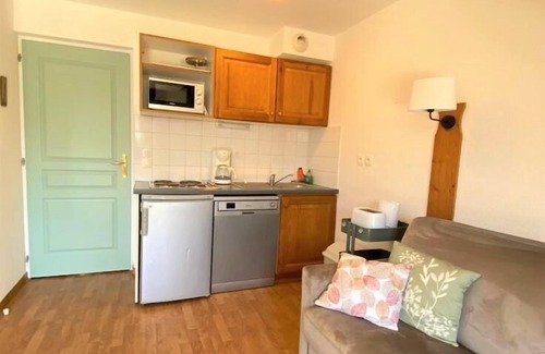 La Joue du Loup Ski Chalet | Chalet, view mountain, terrace, parking, tv, ski locker, 55m², La Joue du Loup