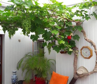 Ars-en-Re Bed & Breakfast | Chambre D'hôtes