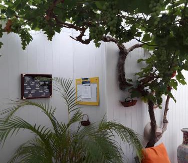 Ars-en-Re Bed & Breakfast | Chambre D'hôtes