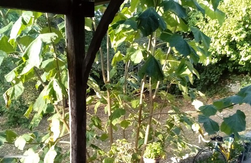 Villeneuve-sur-Lot Bed & Breakfast | Chambre D'hôtes sur le Côteaux