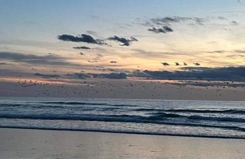 Camiers Bed & Breakfast | Chambre d hôte à la plage de 15 m2 LE MANAPANY