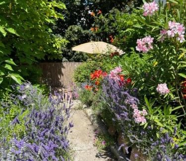 La Roque-d'Antheron Bed & Breakfast | Chambre d'hôte Mas de Silvacane