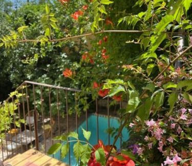 La Roque-d'Antheron Bed & Breakfast | Chambre d'hôte Mas de Silvacane