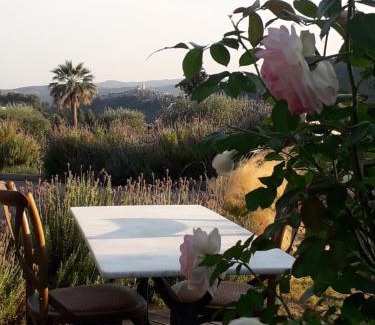 Vence Bed & Breakfast | Chambre d'hotes Casa Biba