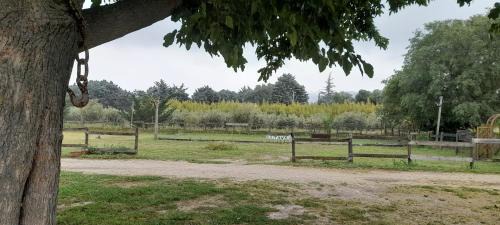 Lagnes Bed & Breakfast | Chambre d'Hotes Manon - Domaine Les Peupliers -