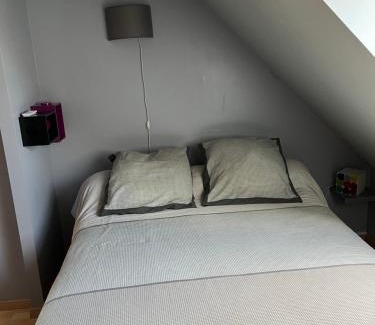 Roeze-sur-Sarthe Bed & Breakfast | Chambre