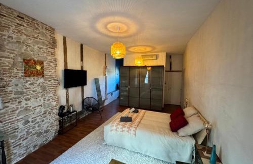 Lavaur Apartment | Chambre privée tout confort centre historique