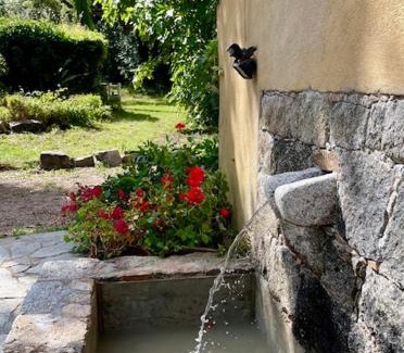Porto-Vecchio Bed & Breakfast | Chambres d'Hôtes Barraconu