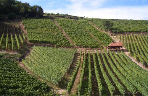 Dambach-la-Ville Bed & Breakfast | Chambres d'hôtes Ruhlmann