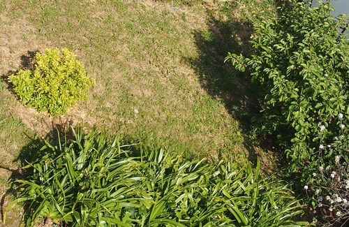 Douarnenez House | Character house quiet in large flower garden