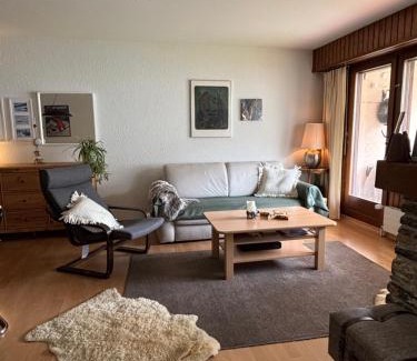 Montana Apartment | Charmant appartement, hyper central, à 2 min de tout, énorme terrasse privée et parking couvert
