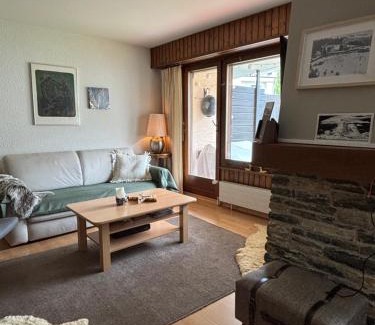 Montana Apartment | Charmant appartement, hyper central, à 2 min de tout, énorme terrasse privée et parking couvert