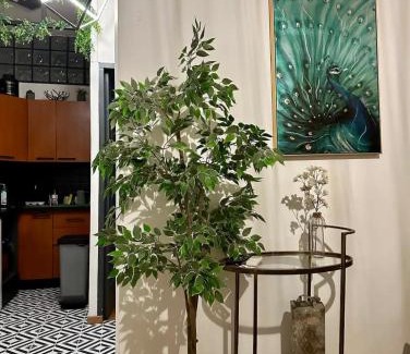 Le Piol Apartment | Charmant Appartement T2