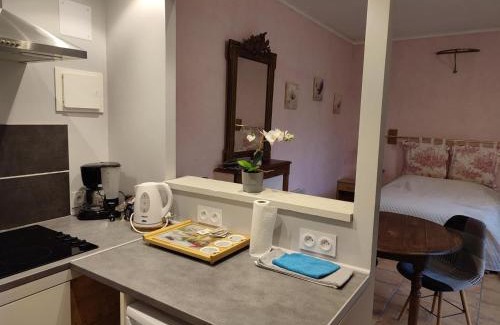 Pontlevoy Apartment | Charmant Studio au Cœur de Pontlevoy avec Jardin, Parking et Ateliers Pâtisserie - FR-1-491-363