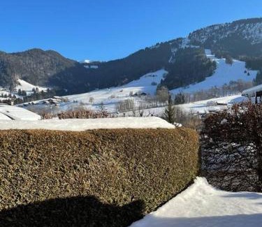 Praz-sur-Arly Apartment | Charmant studio + jardin vue pistes et local velo