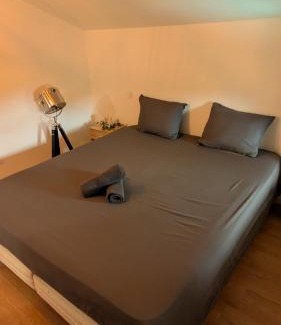 Lisle-sur-Tarn Apartment | Charmant T2 tout confort, à deux pas du centre