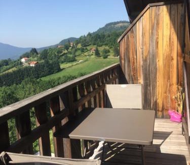 Bussang Apartment | Charmant T3 Bussang, Vosges, vue imprenable
