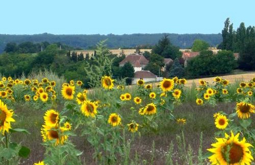 Abilly House | Charmante demeure 17e avec piscine privative, grand jardin et patrimoine riche en Touraine Sud. - FR-1-381-368